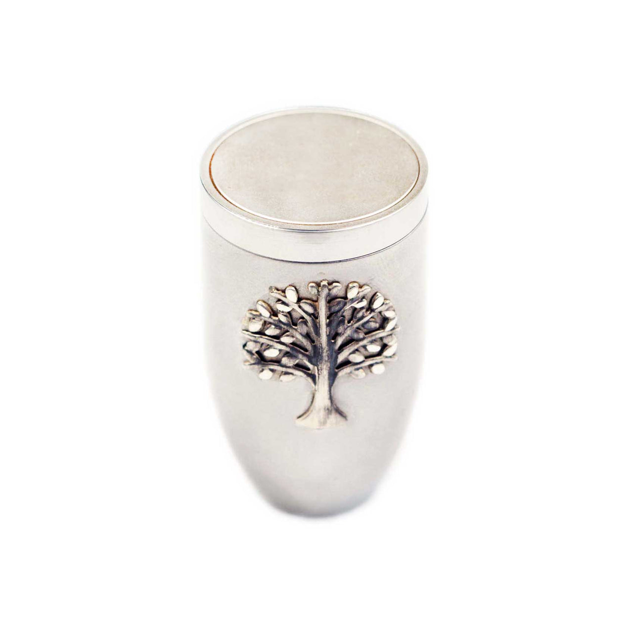 Miraculous Medal Forever Whisper Mini Memory Capsule